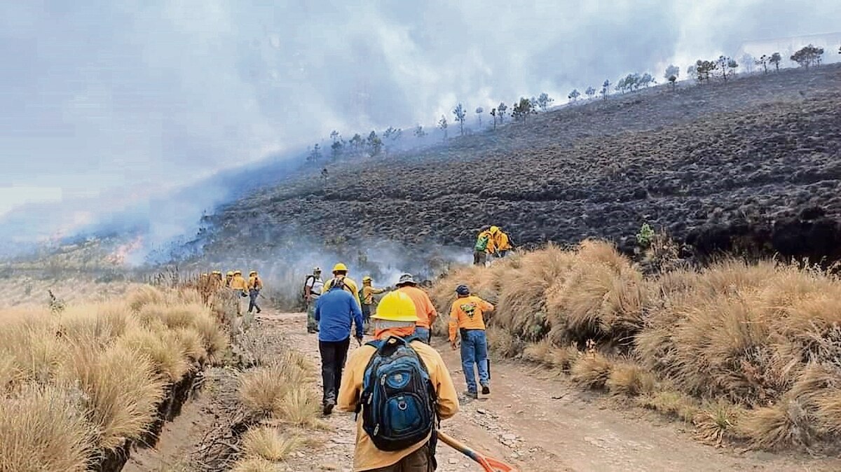 Querétaro suma nueve incendios forestales en el año