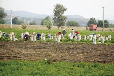 Urge PRD a crear Congreso Agrario 