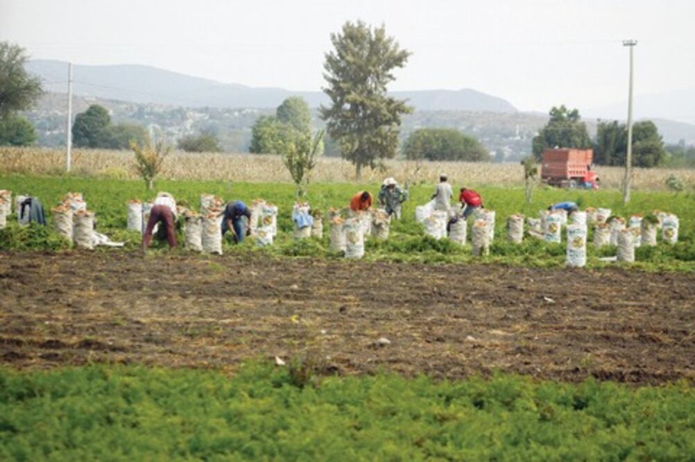 Urge PRD a crear Congreso Agrario