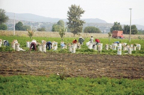 Urge PRD a crear Congreso Agrario