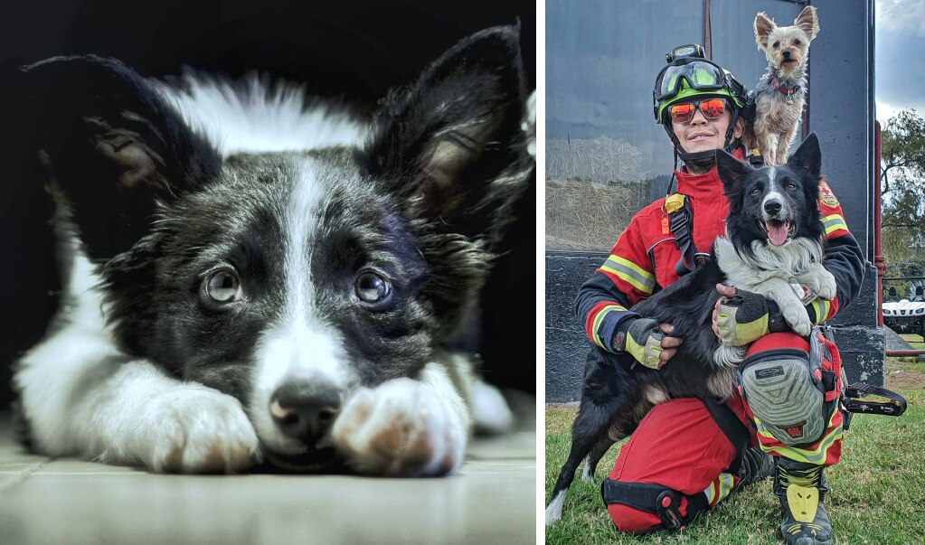 Caminarán para exigir justicia en los asesinatos de Athos y Tango 