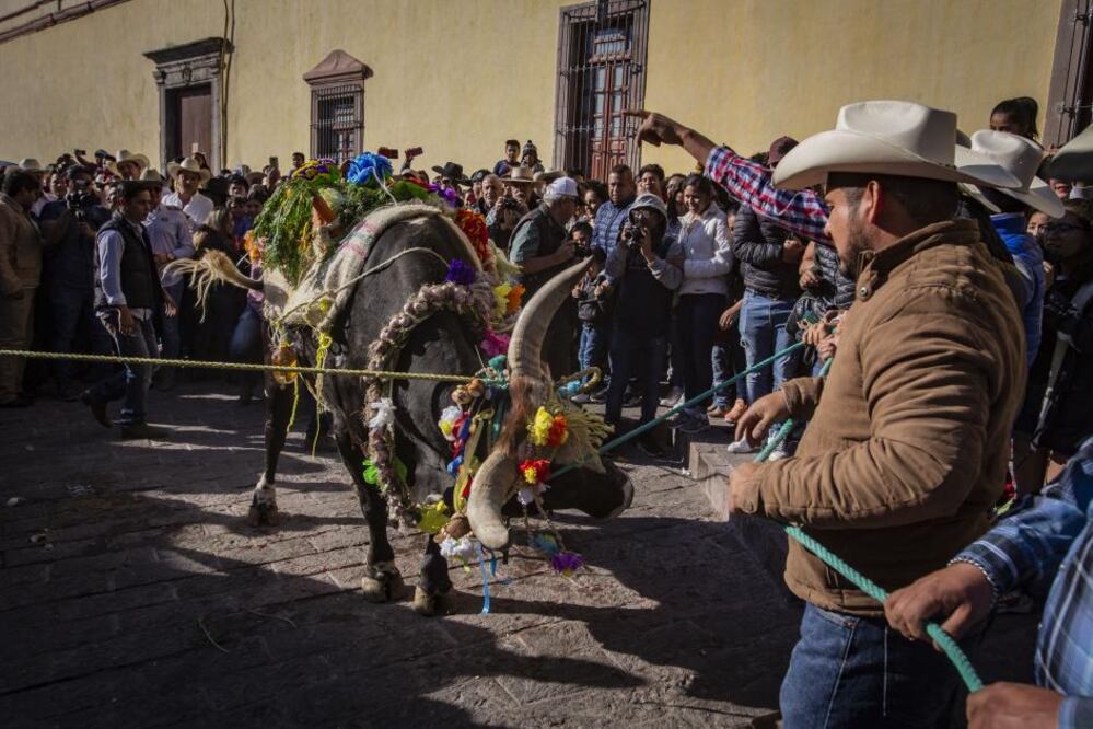 Foto: Demian Chávez