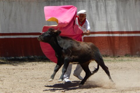 Un fuera de serie regresa a la Plaza Santa María