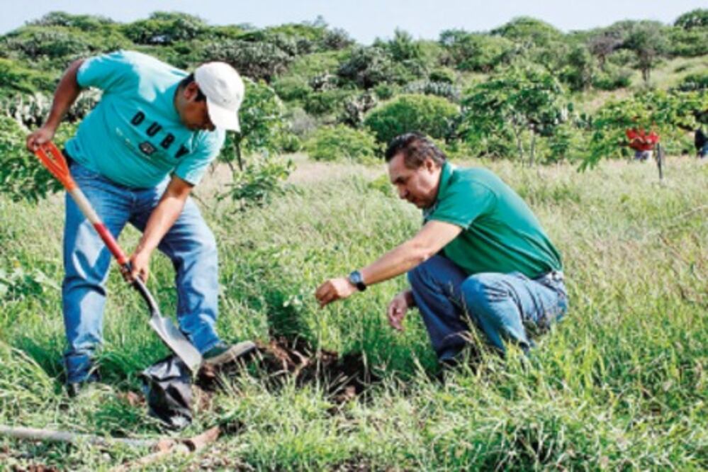Darán a candidatos iniciativa ambiental