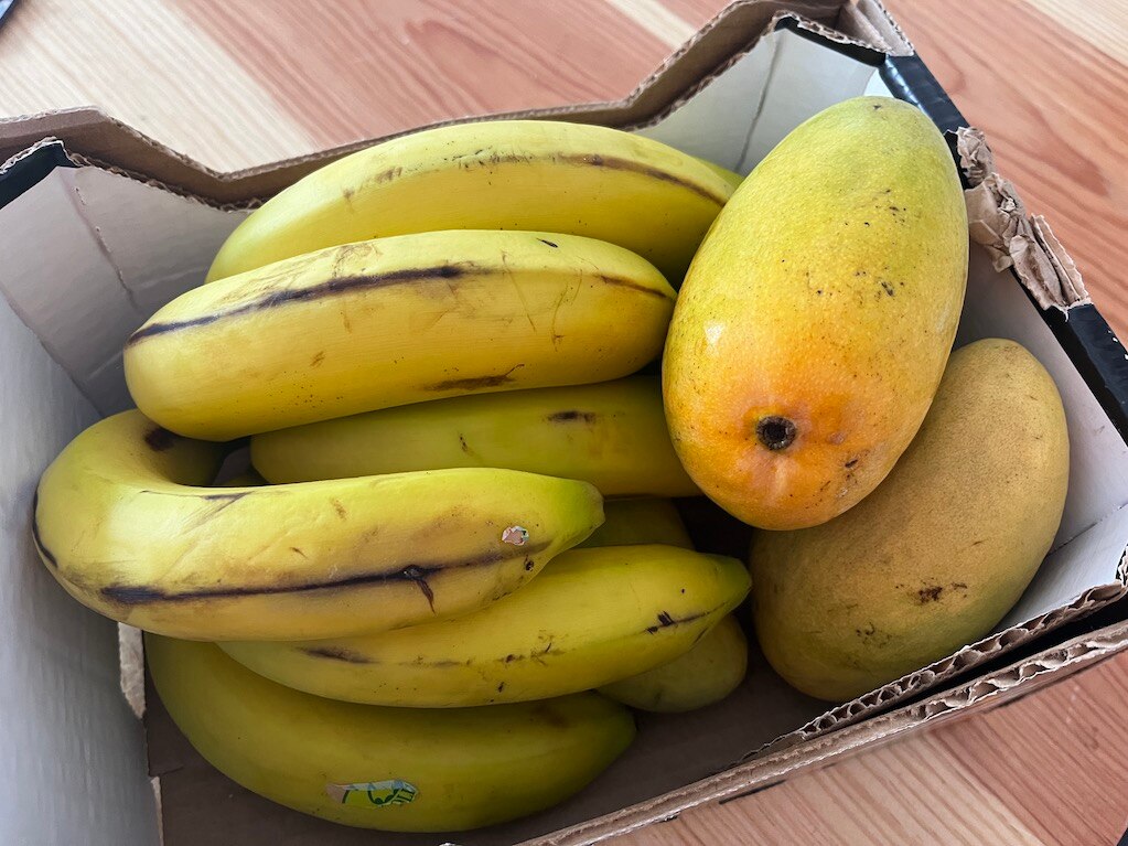 Todo es más caro; sube la inflación en Querétaro