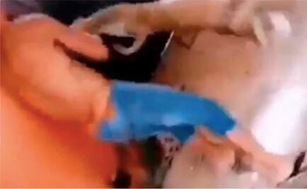 Capturan a "El orejas" por maltrato animal de una pitbull