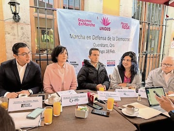 “Marea Rosa” anuncia marcha en defensa de la democracia