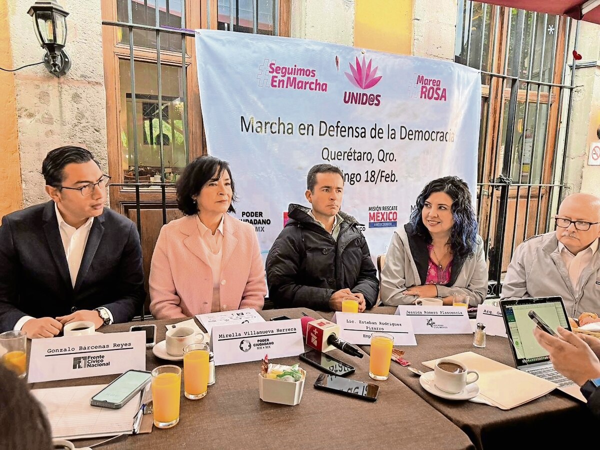 “Marea Rosa” anuncia marcha en defensa de la democracia