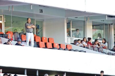 Gallos sin afectaciones 