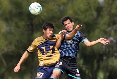 Primer round entre Gallos y Pumas