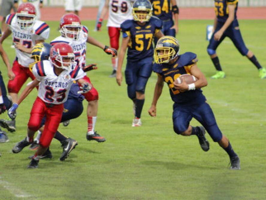 Gatos, por el dominio de la liga FADEMAC