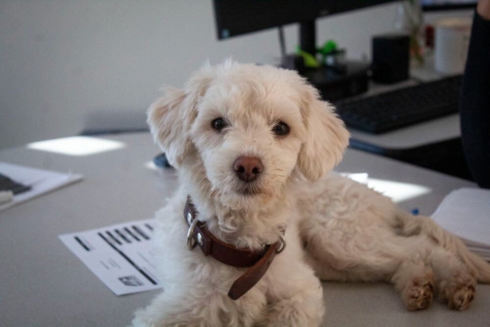 Foto: Facebook. Servicios Públicos Municipales