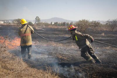 Pese a lluvias no cesan los incendios en Corregidora