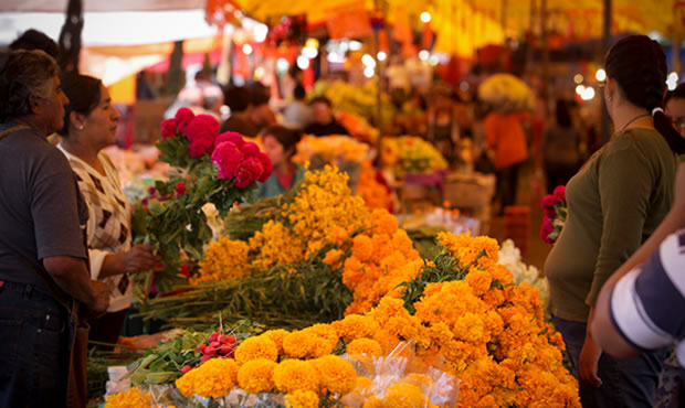 Reportan saldo blanco en panteones en SJR