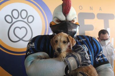 Un riesgo, zona pet friendly en el estadio Corregidora; afecta a las propias mascotas