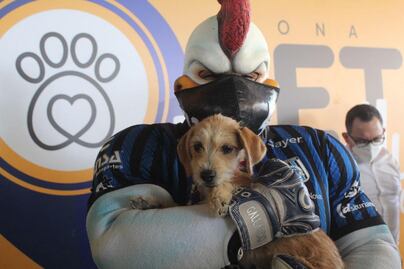 Un riesgo, zona pet friendly en el estadio Corregidora; afecta a las propias mascotas