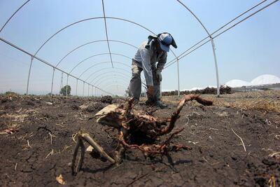 Buscan apoyar a productores