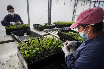 Se duplica el empleo formal en Querétaro 