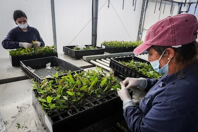 Se duplica el empleo formal en Querétaro