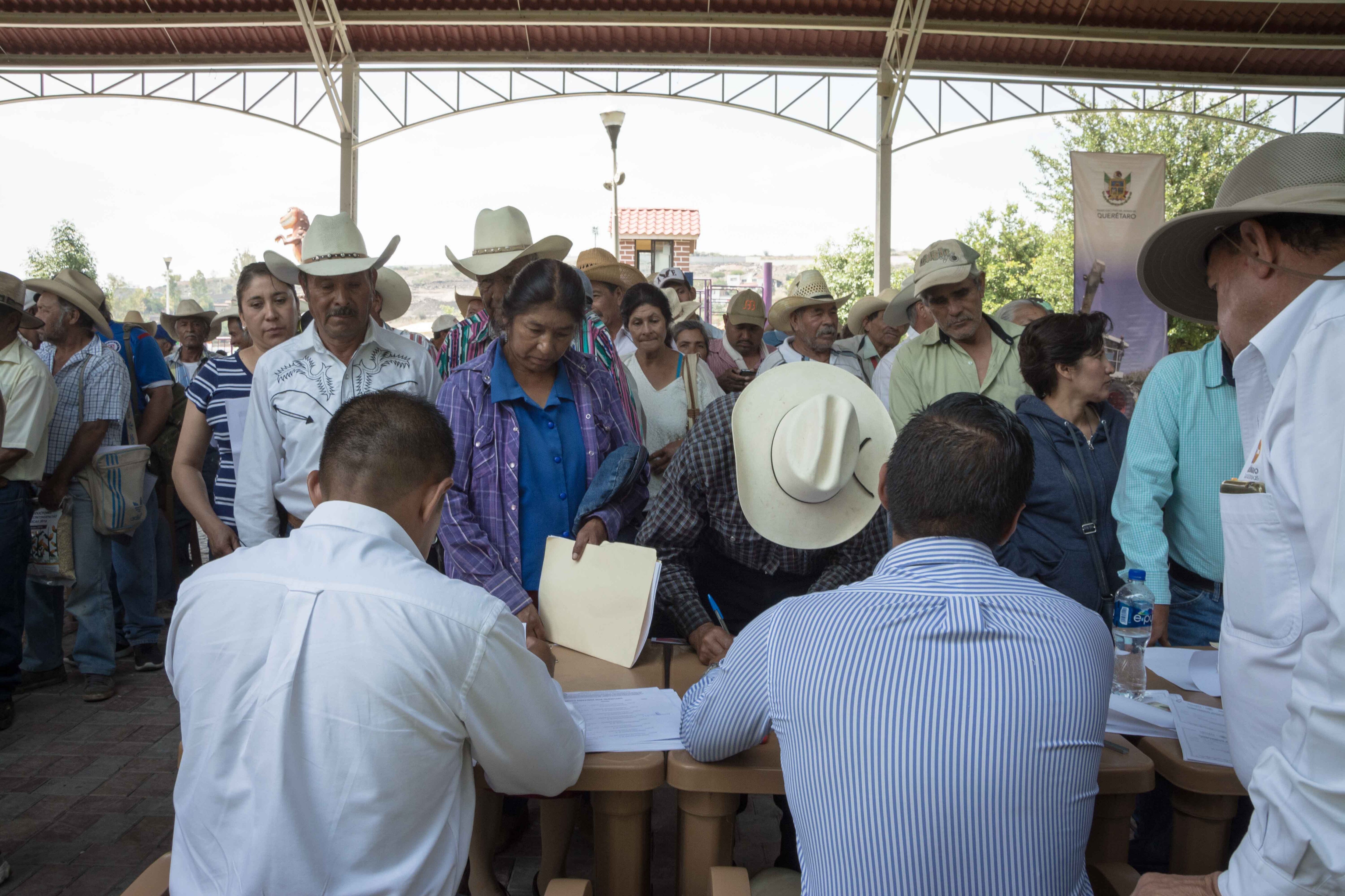 Concluye entrega de apoyos el 31 de marzo