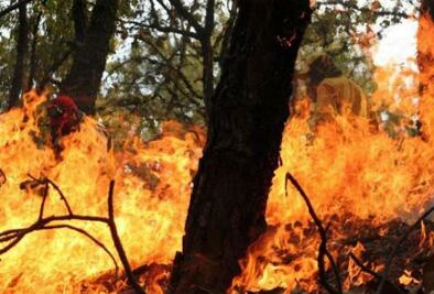 Continúa incendio en San Joaquín