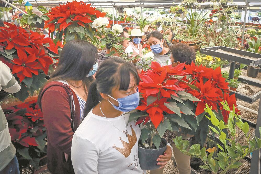 Foto: Archivo. El Universal