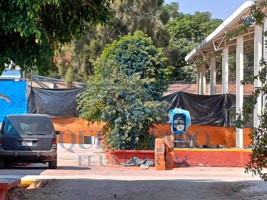 FOTO. DOMINGO VALDEZ