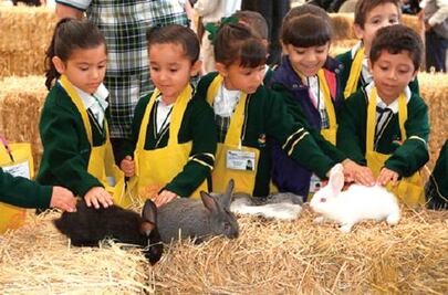 Inauguran Expo Agro Infantil