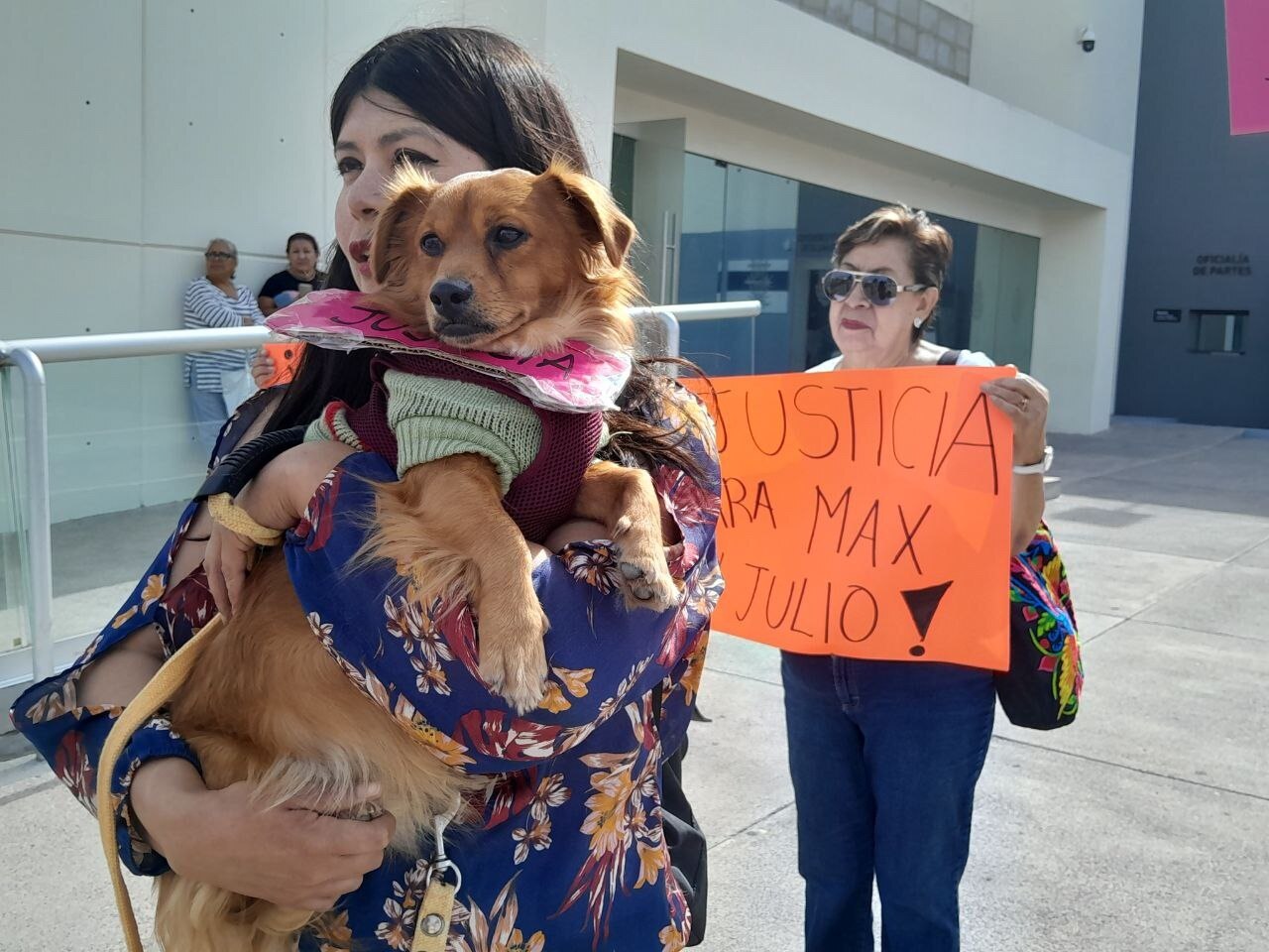 Sentencia a hombre que arrolló a Max y Julio, “una burla”