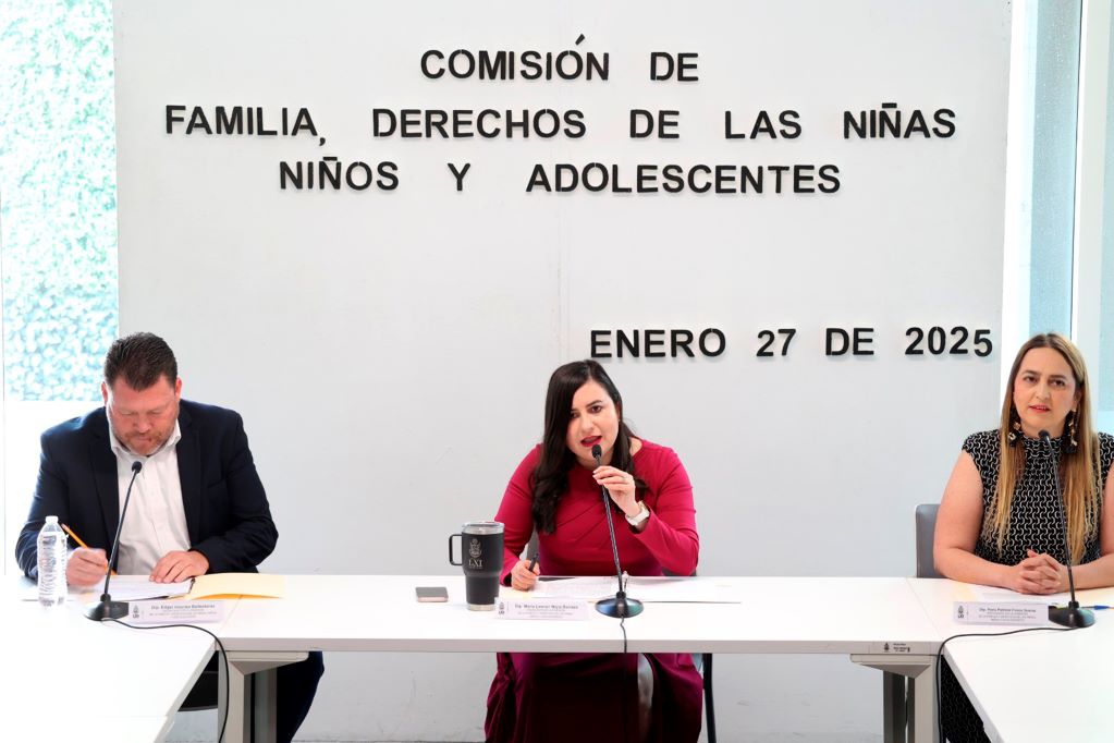 PAN Querétaro reafirma su posición en contra de la despenalización del aborto