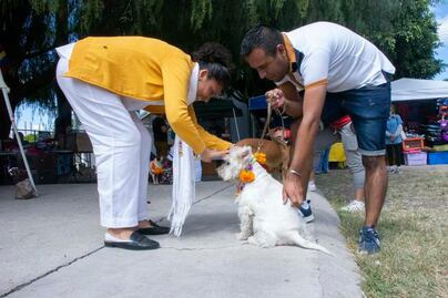 Kukur Tihar, ritual para bendecir a perros y gatos