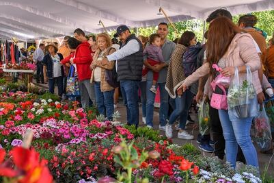Alrededor de 20 mil personas asistirán al festival de las flores