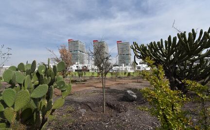 Entrega Marcos Aguilar pulmón urbano en la colonia Centro Sur