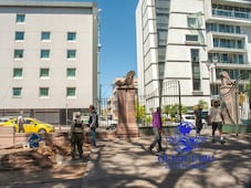 Árbol caído no tenía plaga, afirma el alcalde Felifer Macías
