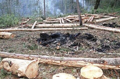Tercer lugar en denuncias ecológicas