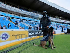 Reforzarán la seguridad en los partidos de Gallos Blancos