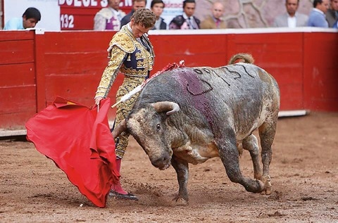 ‘El Payo’ en corrida guadalupana