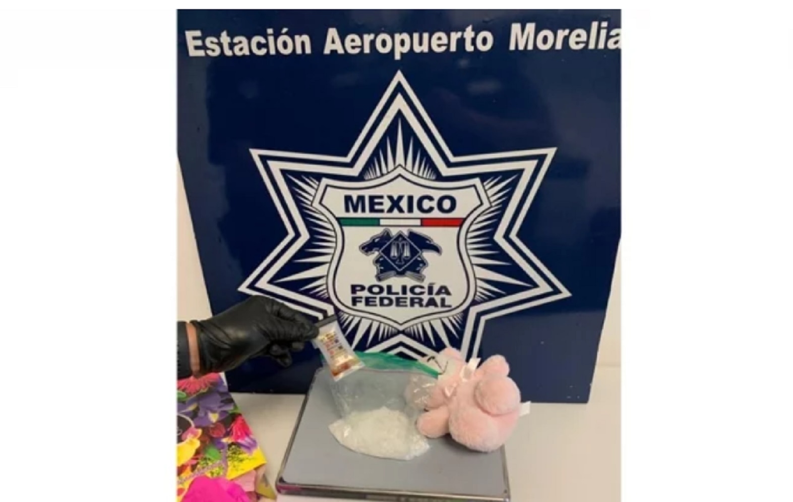 Aseguran oso de peluche relleno de metanfetaminas en Michoacán