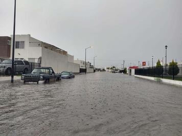 Encharcamientos, caída de árboles y de bardas, el saldo que dejó la lluvia
