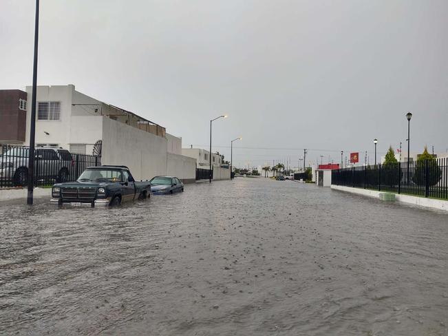 Encharcamientos, caída de árboles y de bardas, el saldo que dejó la lluvia