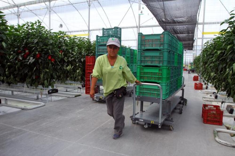 Destinan 40 mdp para agroparques