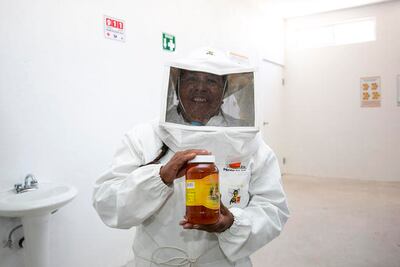 Inauguran centro de extracción apícola