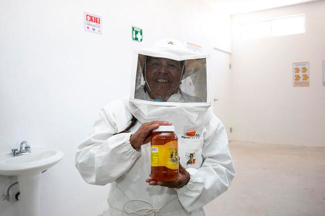 Inauguran centro de extracción apícola