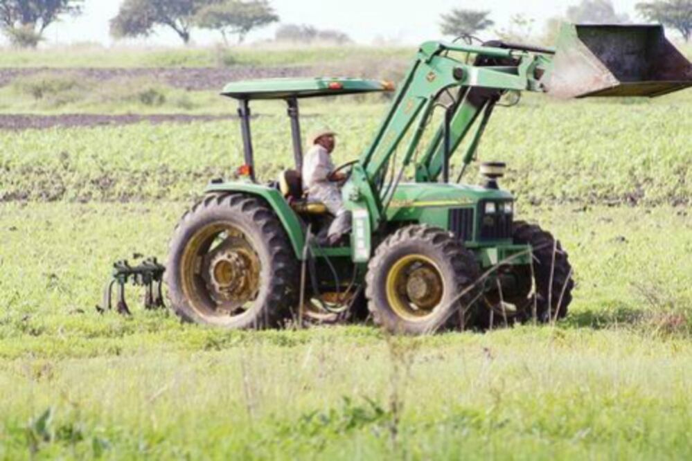 Producción anual agropecuaria