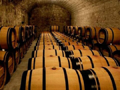 Experiencia entre viñedos