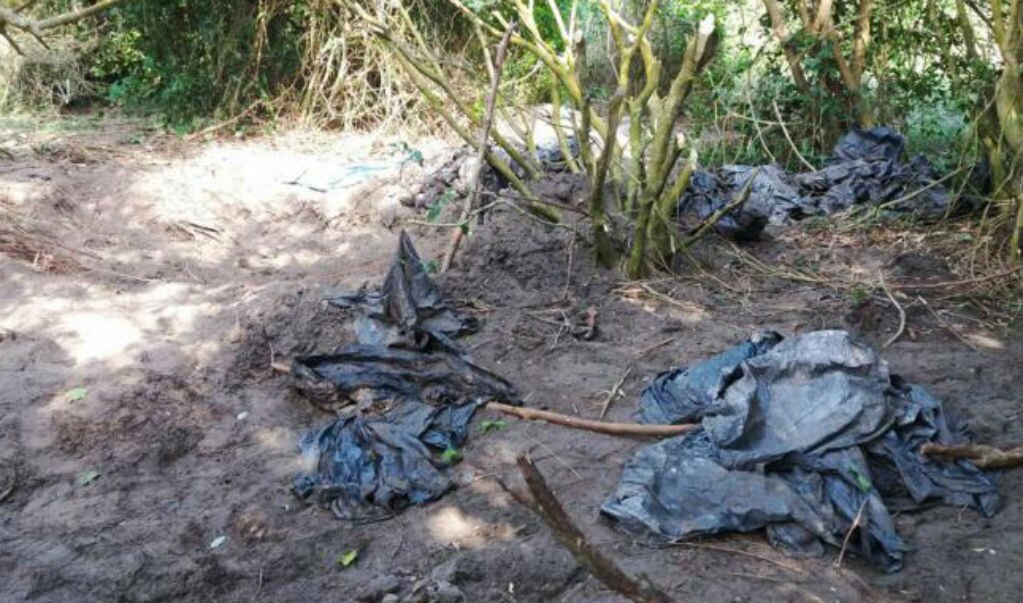 Restos encontrados en fosa de Veracruz podrían ser de familia queretana