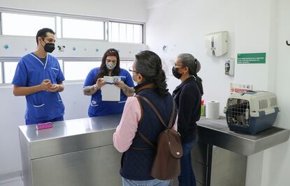 Hospital veterinario de la UAQ, espacio médico y de aprendizaje 