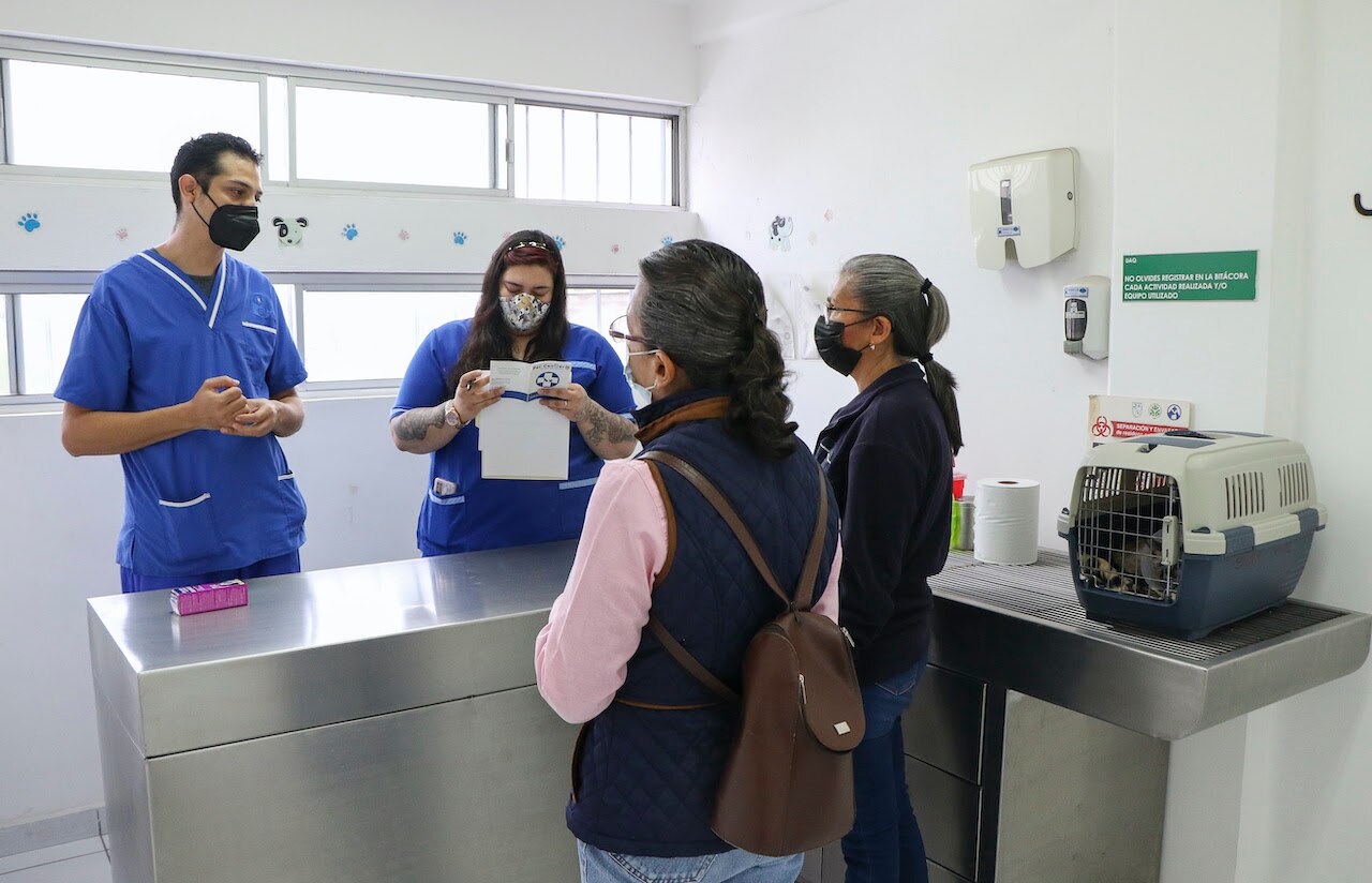 Hospital veterinario de la UAQ, espacio médico y de aprendizaje