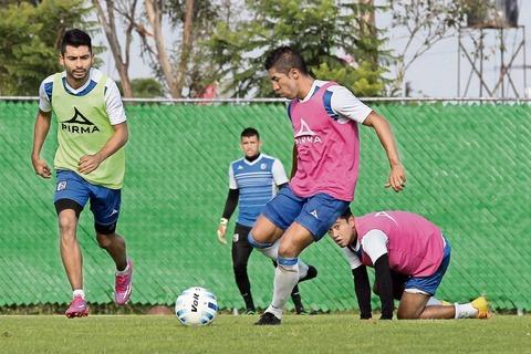 Mejoran jugadores de Gallos