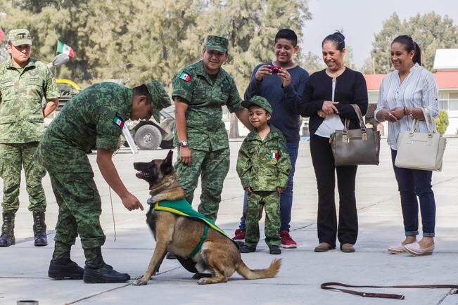 Reconoce Ejército lucha de Sebastián